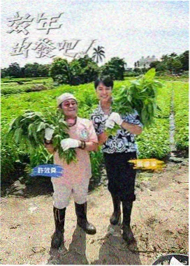 顶点小说排行 星穹流浪